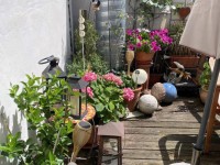 Süd-Balkon Süd-Balkon